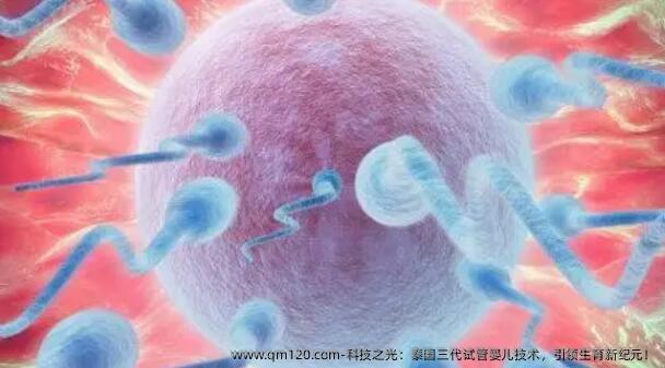 科技之光：泰国三代试管婴儿技术，**生育新纪元！