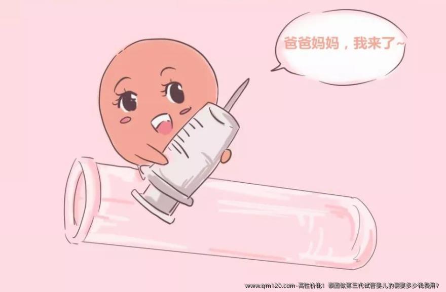 高性价比！泰国做第三代试管婴儿的需要多少钱费用？