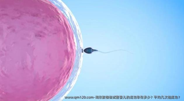 南京鼓楼做试管婴儿的成功率有多少？平均几次能成功？