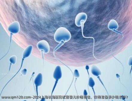 2024上海长海医院试管婴儿价格预估，你得准备多少钱才够？