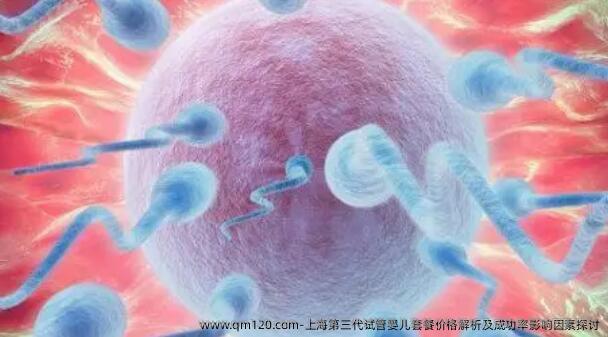 上海第三代试管婴儿套餐价格解析及成功率影响因素讨论