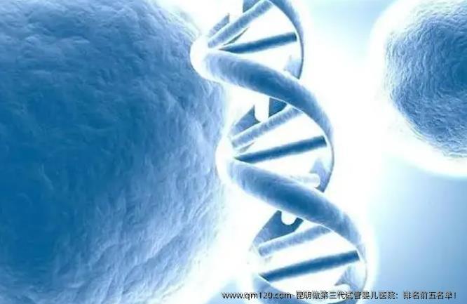 昆明做第三代试管婴儿医院：排名前五名单！