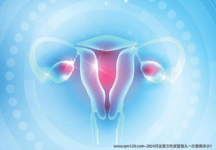 2024河北第三代试管婴儿一次费用多少？
