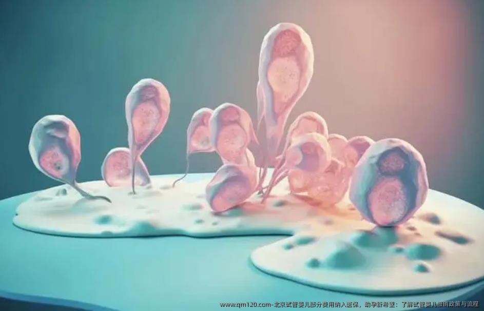 北京试管婴儿部分费用纳入医保，助孕新希望：了解试管婴儿报销**与流程