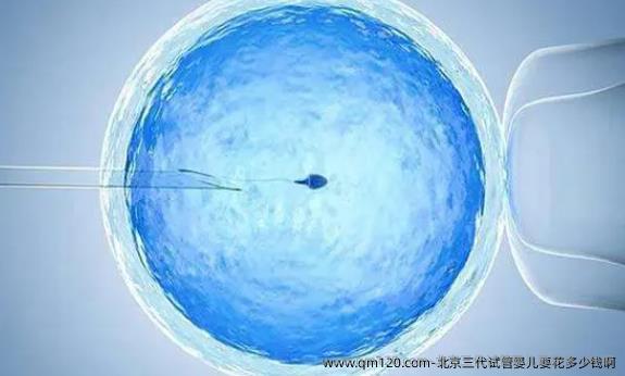 北京三代试管婴儿要花多少钱啊