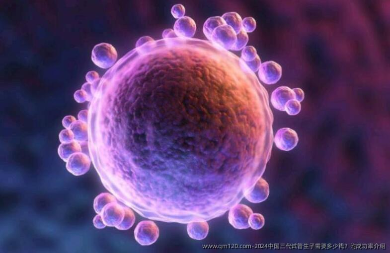 2024国内三代试管生子需要多少钱？附成功率介绍