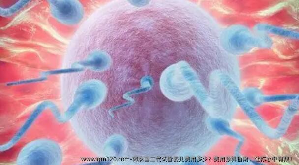 做泰国三代试管婴儿费用多少？费用预算指南，让你心中有数！