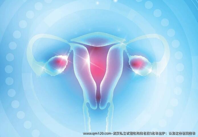 武汉私立试管机构排名前5名单出炉：认准这份医院榜单