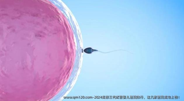 2024成都三代试管婴儿医院排行，这几家医院成功上榜！