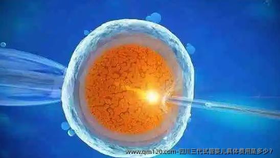 四川三代试管婴儿具体费用是多少？