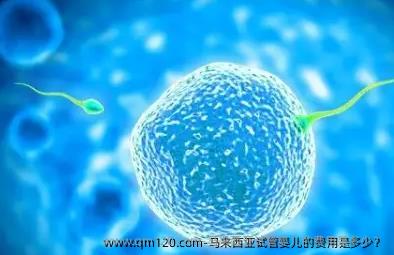 马来西亚试管婴儿的费用是多少？