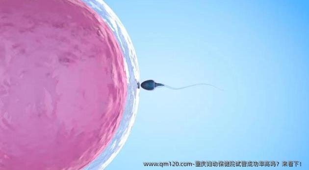 重庆妇幼保健院试管成功率高吗？来看下！