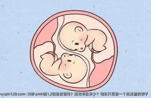 30岁amh值1.2能做试管吗？成功率是多少？母亲只需要一个高质量的卵子