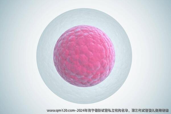 2024年南宁最新试管私立机构名单，第三代试管婴儿费用明细