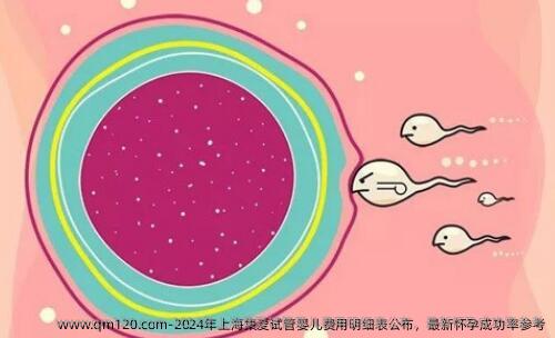 2024年上海集爱试管婴儿费用明细表公布，最新怀孕成功率参考