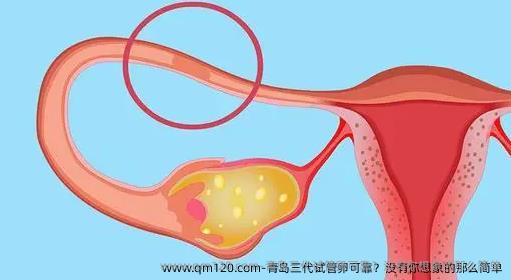 青岛三特需可靠？没有你想象的那么简单