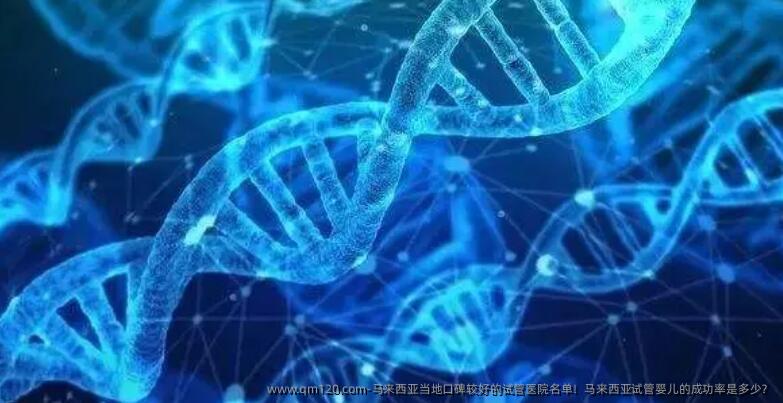 马来西亚当地口碑较好的试管医院名单！马来西亚试管婴儿的成功率是多少？