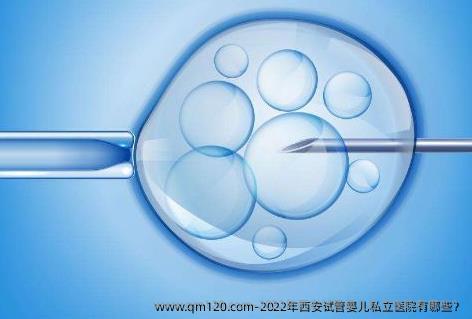 2022年<em>西安</em>试管婴儿私立医院有哪些？
