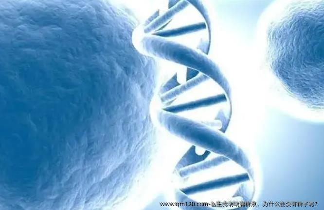 医生我明明有精液，为什么会没有精子呢？
