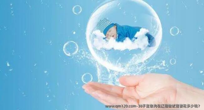38子宫息肉在辽阳做试管要花多少钱？