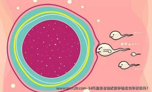34巧囊患者做试管移植成功率很低吗？