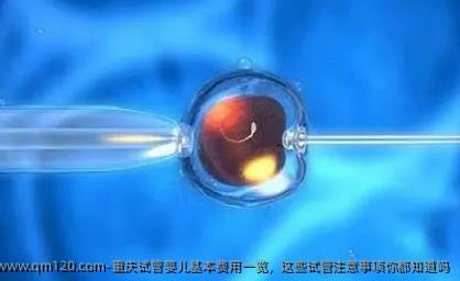 重庆试管婴儿基本费用一览，这些试管注意事项你都知道吗