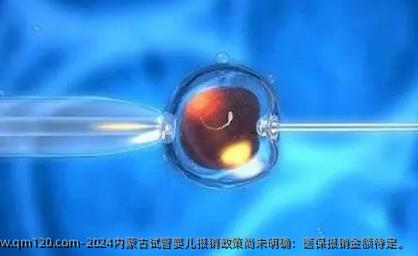 2024内蒙古试管婴儿报销**尚未明确：医保报销金额待定。