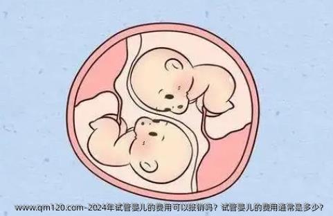 2024年试管婴儿的费用可以报销吗？试管婴儿的费用通常是多少？