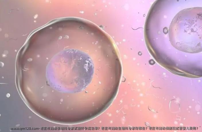 枣庄市妇幼生殖科专家试管怀孕成功率？枣庄市妇幼生殖科专家有哪些？枣庄市妇幼保健院试管婴儿费用？