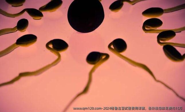 2024格鲁吉亚试管费用详解，各阶段总体花费约15万