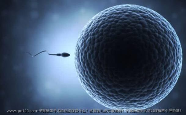 子宫纵隔手术的后遗症是什么？试管婴儿成功率高吗？子宫纵隔手术可以移植两个胚胎吗？
