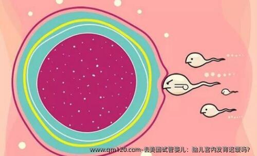 去美国试管婴儿：胎儿宫内发育迟缓吗？