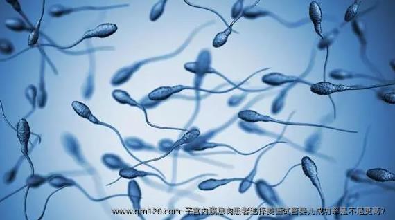 子宫内膜息肉患者选择美国试管婴儿成功率是不是更高？