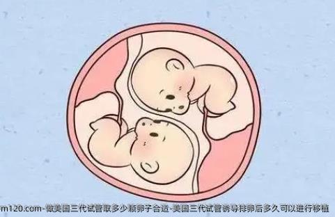 做美国三代试管取多少颗卵子合适-美国三特需后多久可以进行移植
