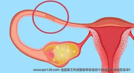 国内第三代试管助孕排名前十的医院？附医院名单？
