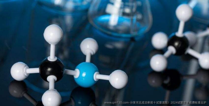 分享河北成功率前十试管医院!2024试管生子收费标准出炉