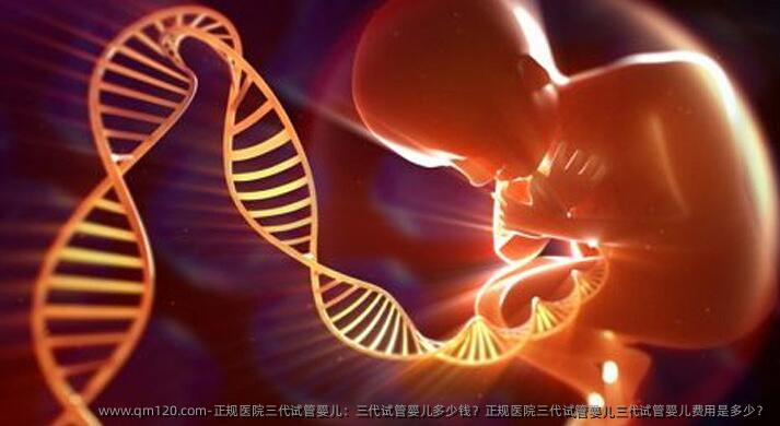 正规医院三代试管婴儿：三代试管婴儿多少钱？正规医院三代试管婴儿三代试管婴儿费用是多少？