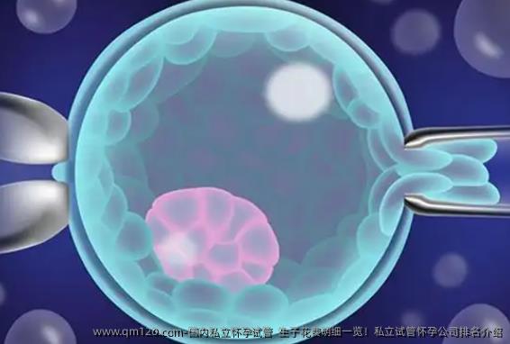 国内私立怀孕试管  生子花费明细一览！私立试管怀孕公司排名介绍