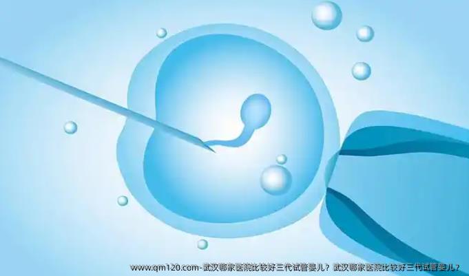 武汉哪家医院比较好三代试管婴儿？武汉哪家医院比较好三代试管婴儿？