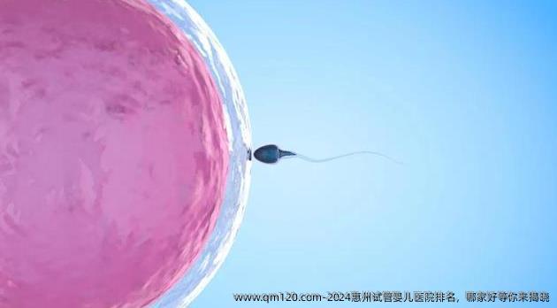 2024惠州试管婴儿医院排名，哪家好等你来揭晓
