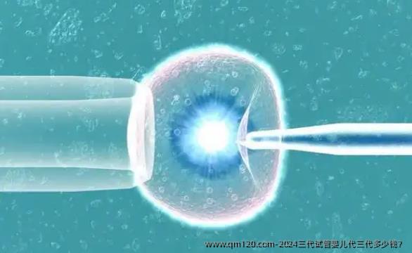 2024三代试管婴儿代三代多少钱？
