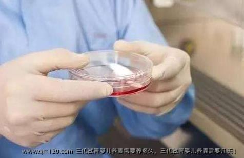 三代试管婴儿养囊需要养多久，三代试管婴儿养囊需要几天！