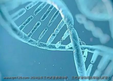 2024山东三代试管费用分析， 三代试管如何选择胎儿试管？