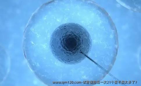 试管促排后一次21个是不是太多了？