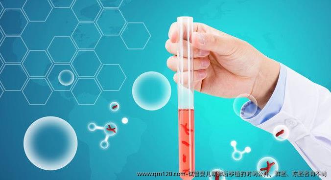 试管婴儿卵泡取出后移植的时间公开，鲜胚、冻胚各有不同