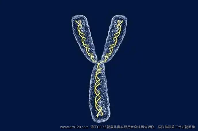 瑞丁GFC试管婴儿真实经历亲身经历告诉你，强烈推荐第三代试管助孕