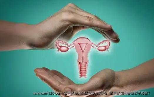 如何选择北京试管婴儿医院？ 试管前如何提高卵子质量？
