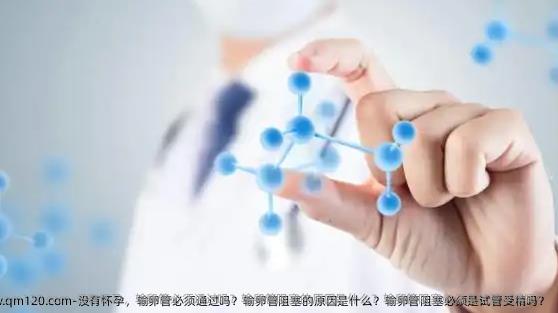 没有怀孕，输卵管必须通过吗？输卵管阻塞的原因是什么？输卵管阻塞必须是试管受精吗？