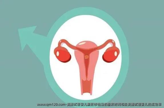美国试管婴儿囊胚移植后的着床时间和去美国试管婴儿的成功率