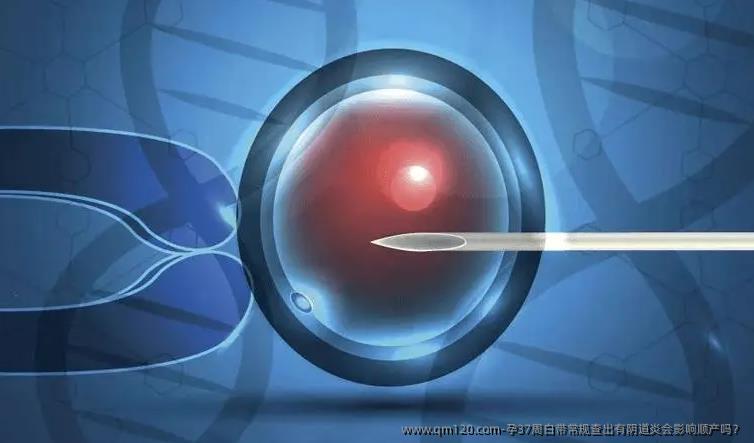 孕37周白带常规查出有阴道炎会影响顺产吗？